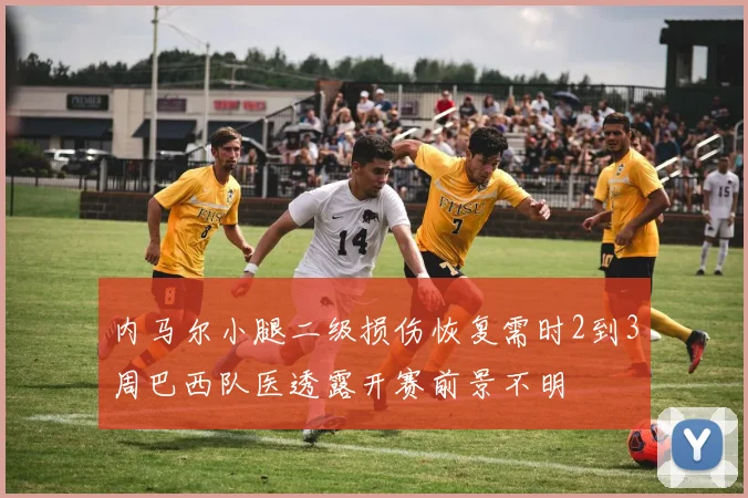 内马尔小腿二级损伤恢复需时2到3周巴西队医透露开赛前景不明